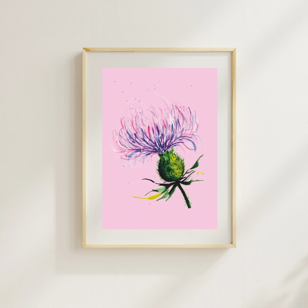 Scottish Thistle Art Print