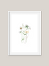 Spring Wildflowers 3 Art Print