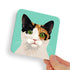 White, Black and Ginger Calico Green Eyes Cat Coaster