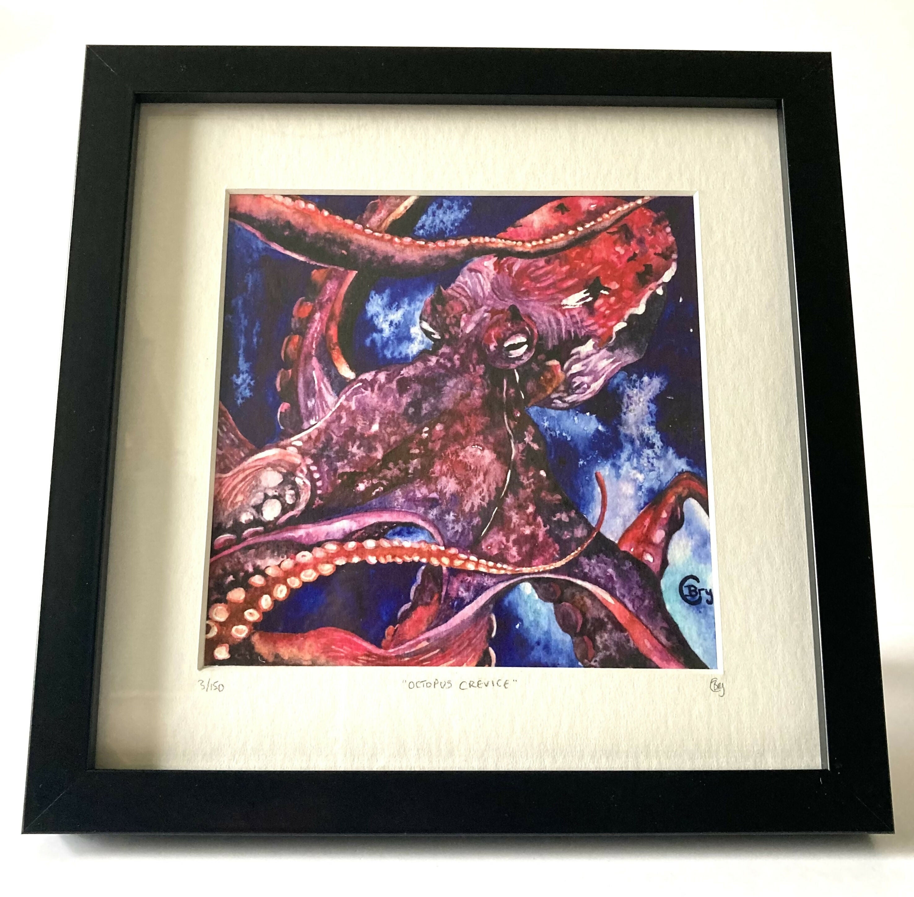 Print - Octopus Crevice