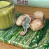 Seahorse - Blue - Wooden Pin