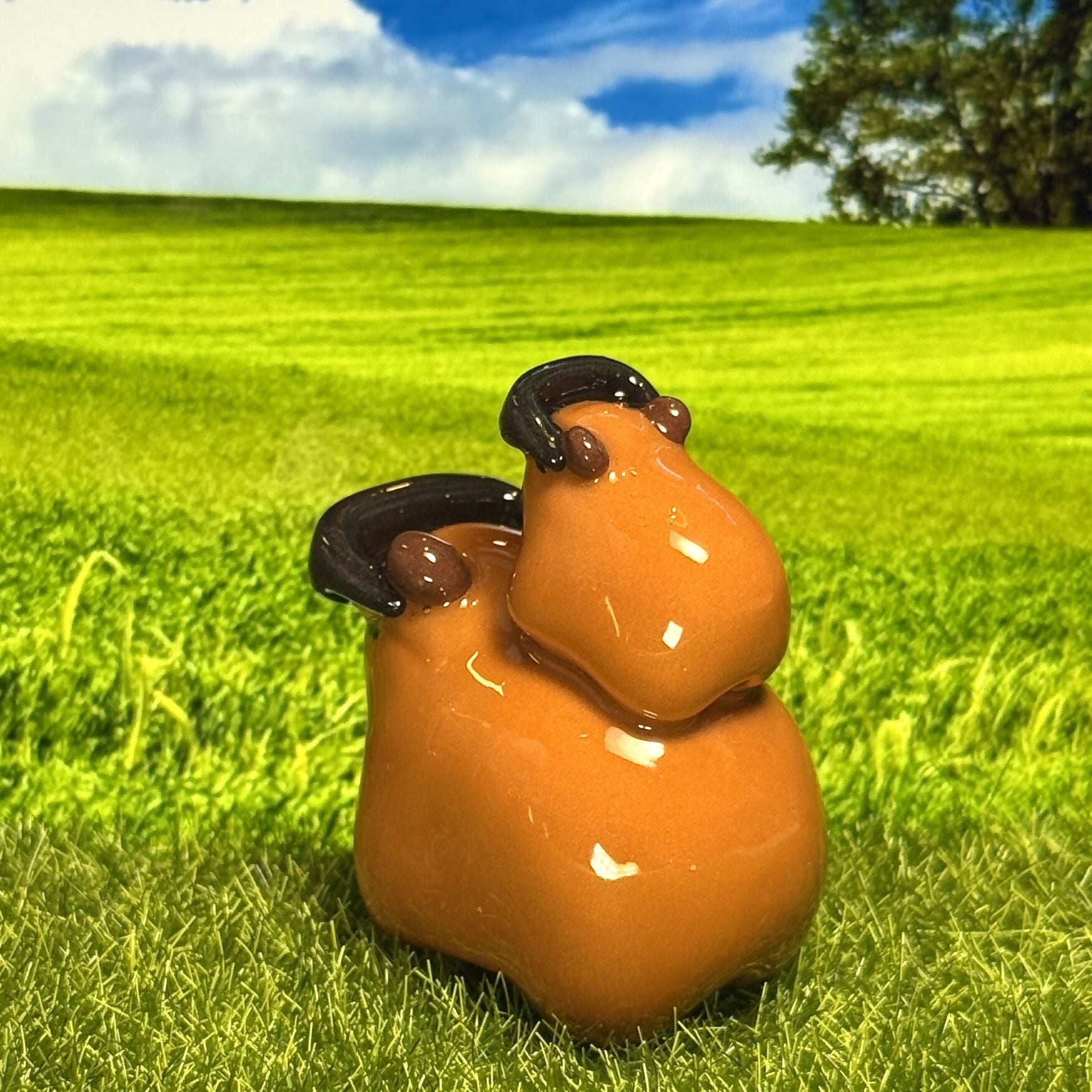 Cool Capybara Duo With Sunglasses