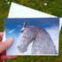 Falkirk Kelpie - card