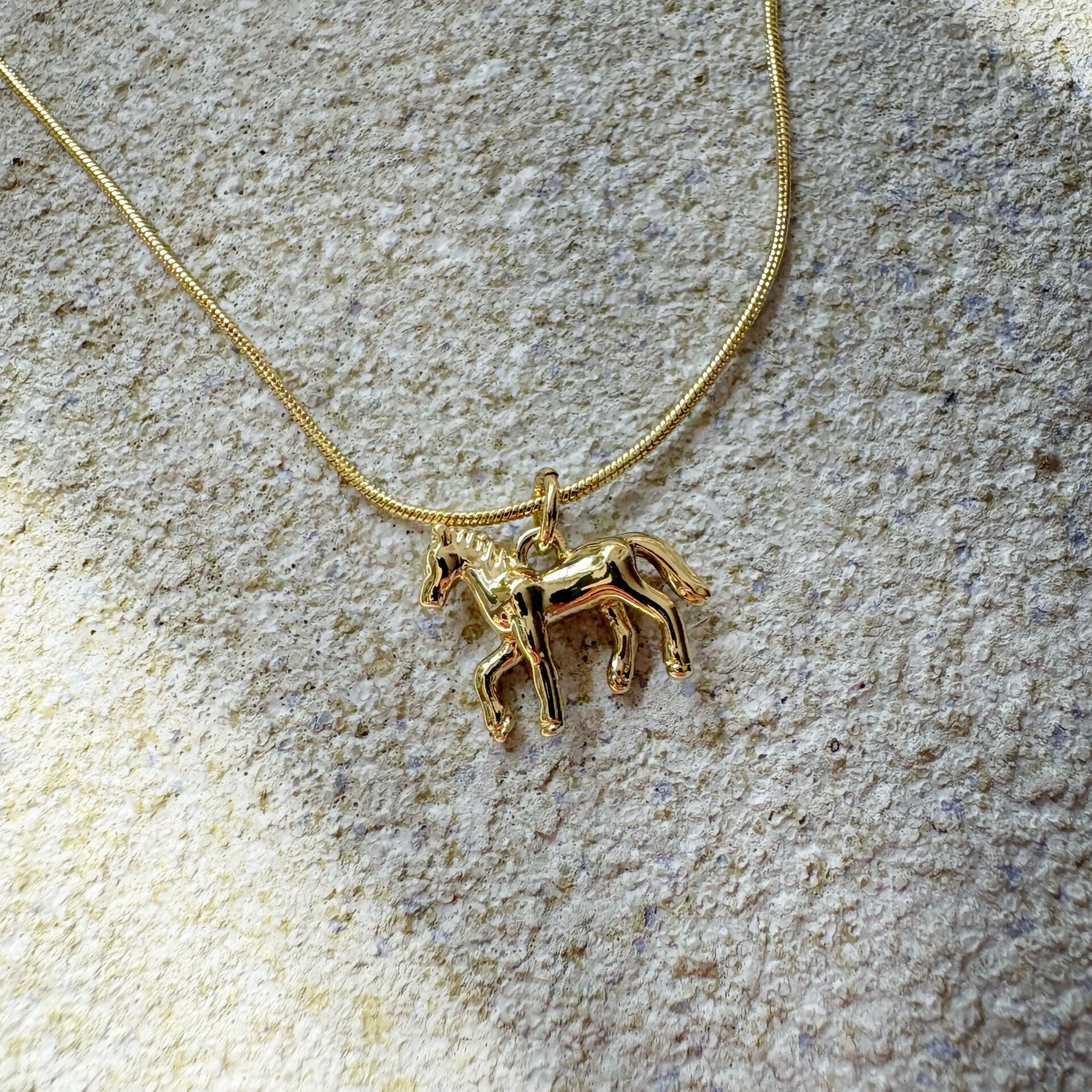 Wild Horse Necklace