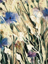 Cornflowers A4 print
