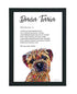 Border Terrier - Definition Quote - Framed Artwork.