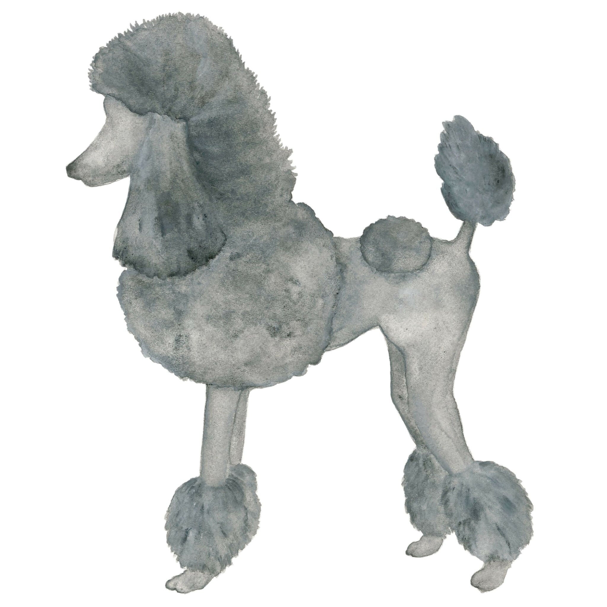 Poodle Giclée Print