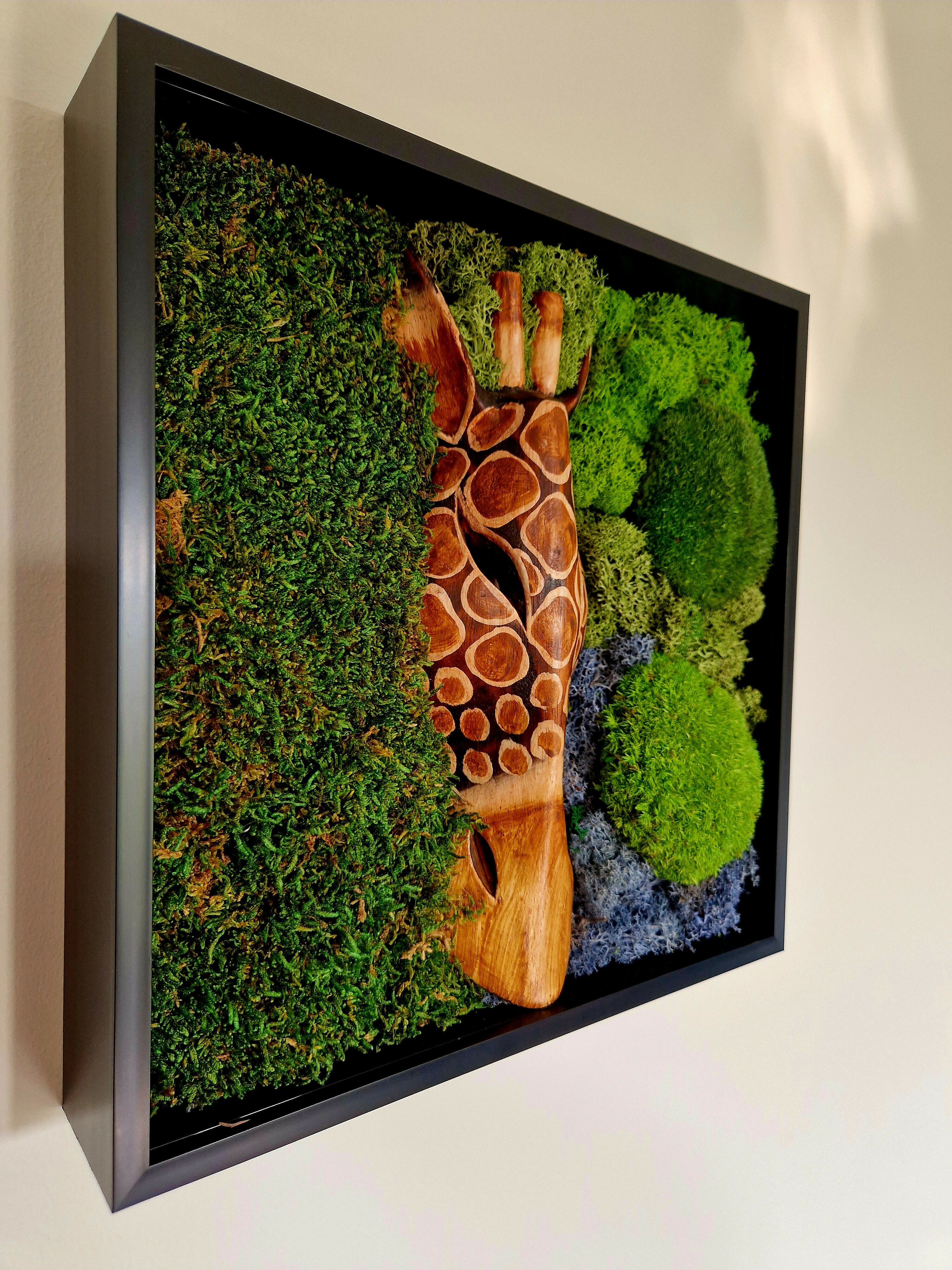 African Giraffe