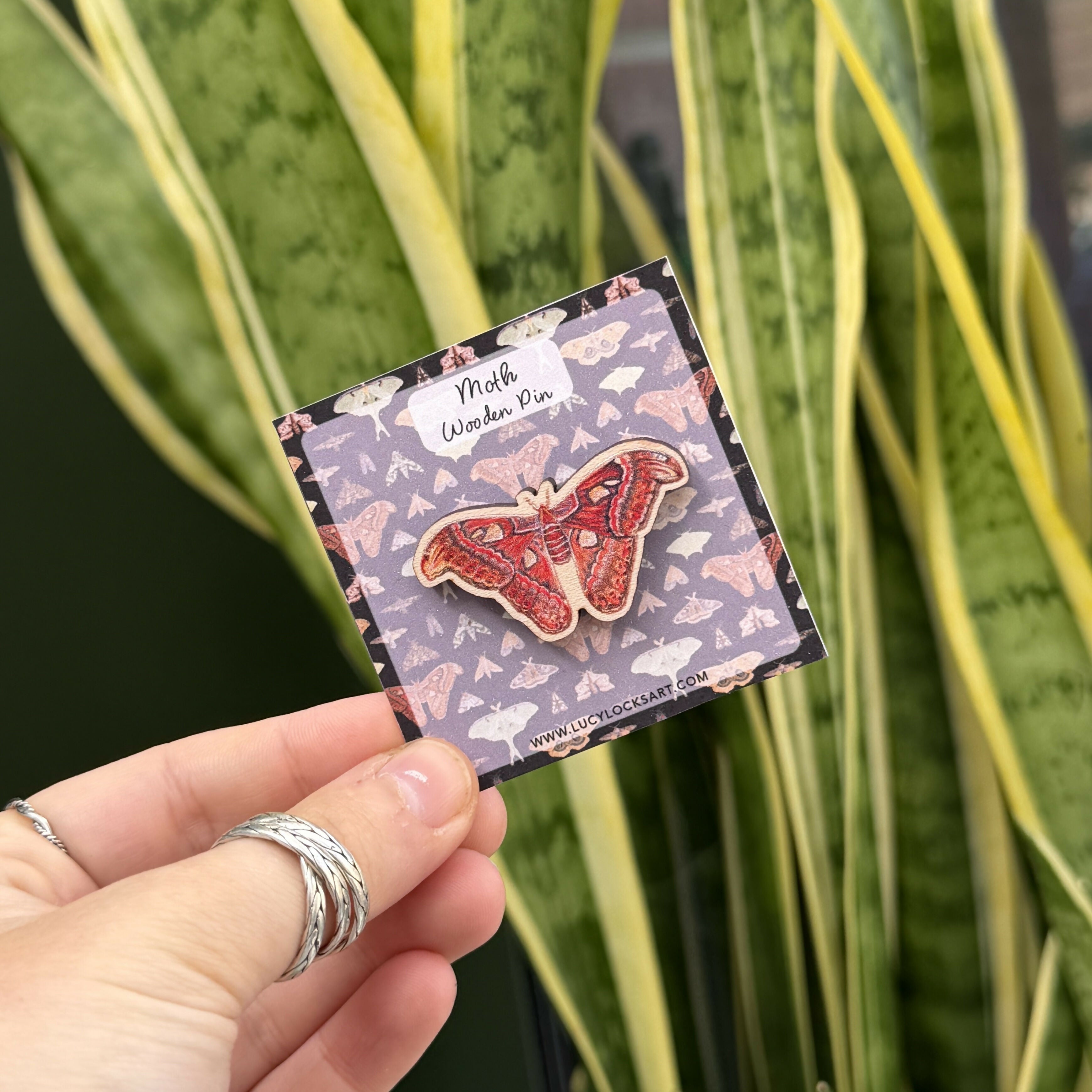 Atlas Moth - Wooden Pin