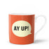 AyUpMug