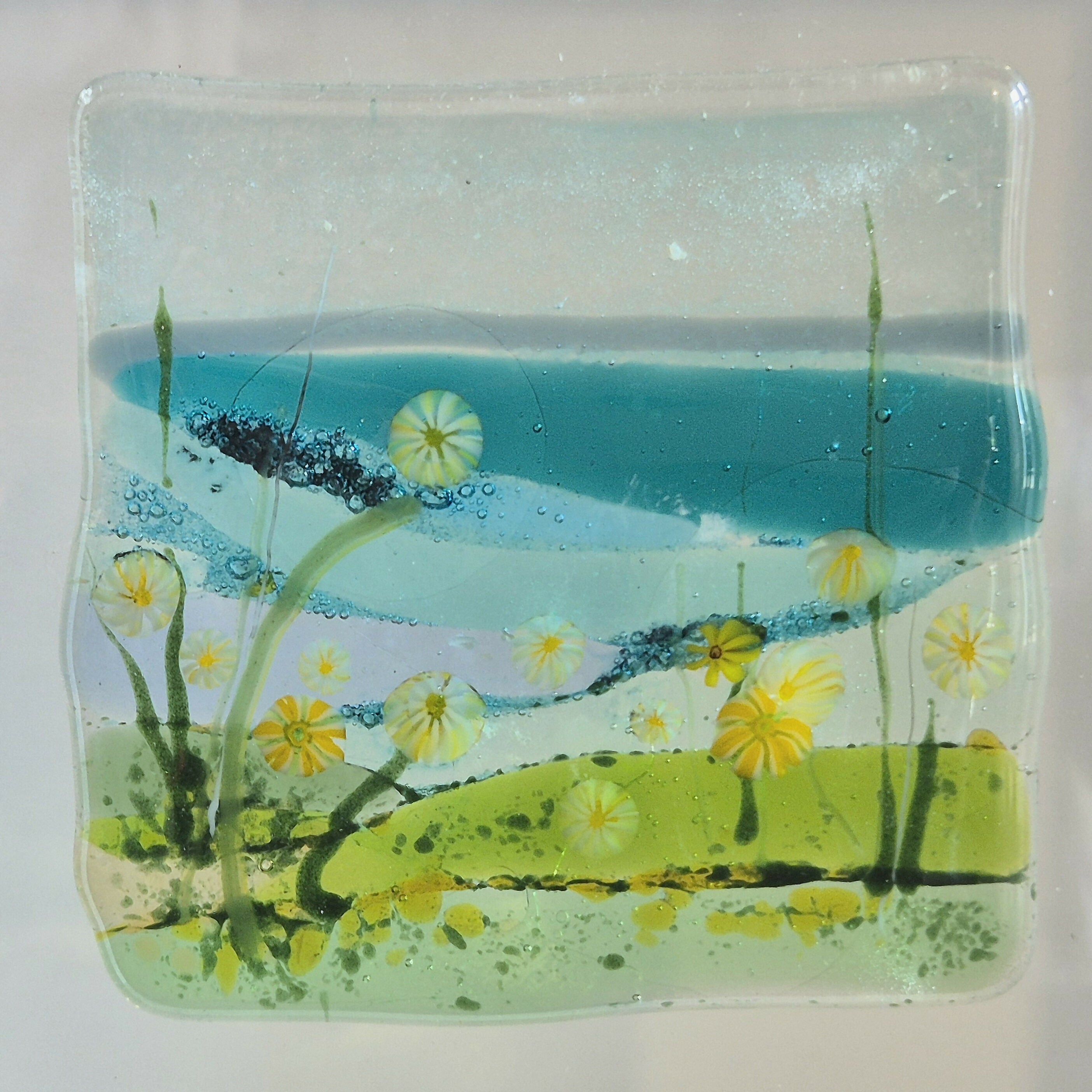 Daisy Seascape