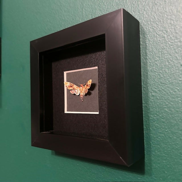 Lovely Mini Faux Paper Death's-head Hawkmoth Displayed In A Black Box Frame