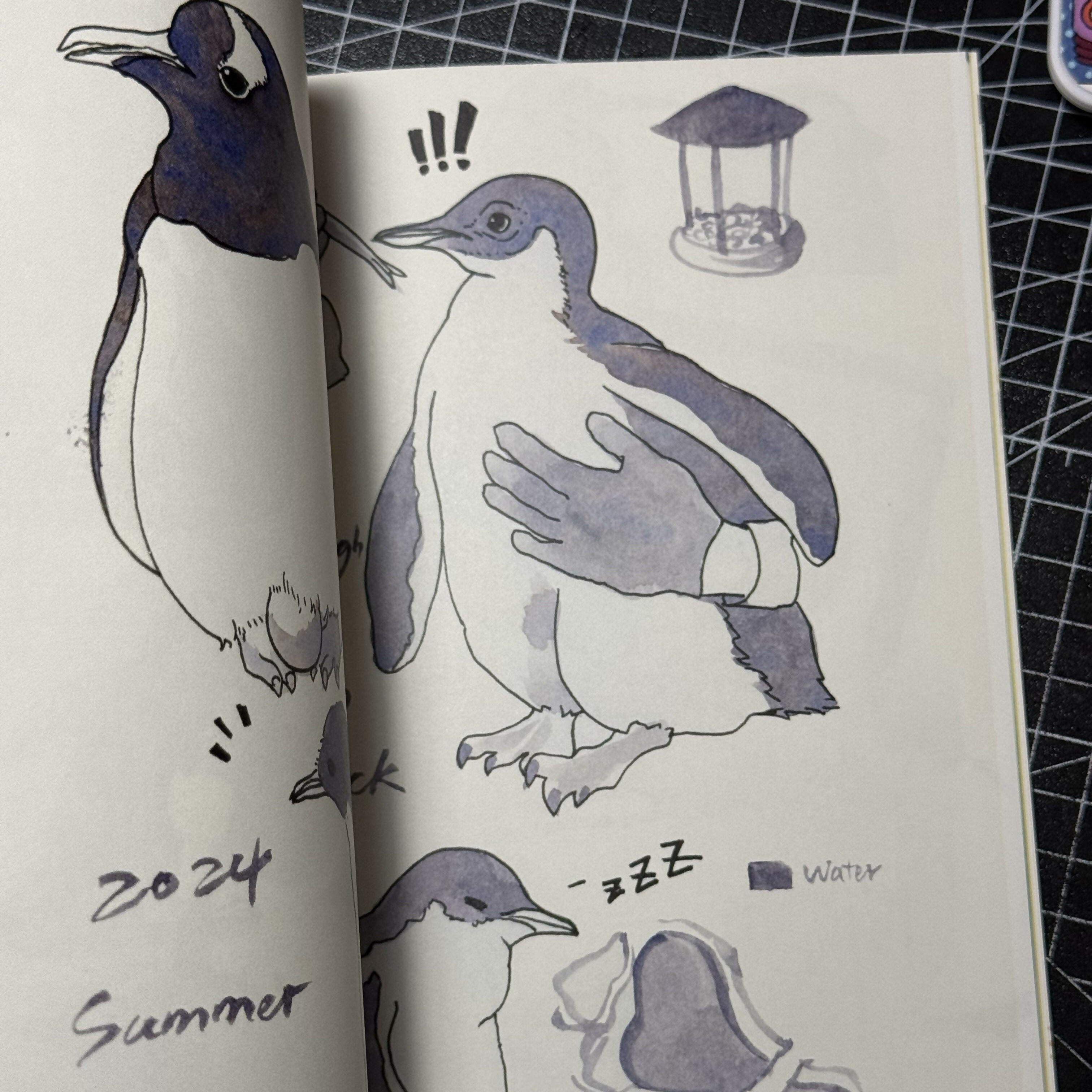Zoo Sketchbook