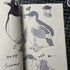 Zoo Sketchbook