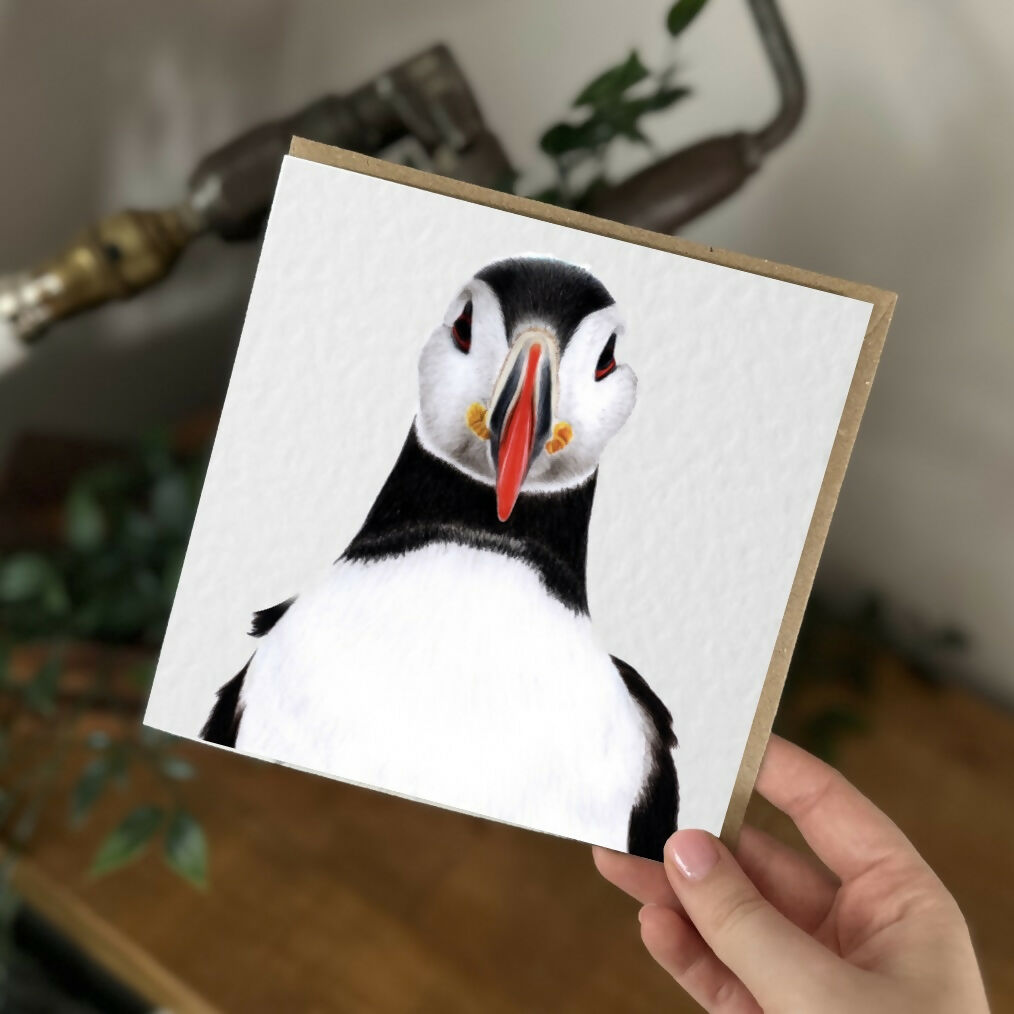 Puffin Bird Greeting Card – Coastal Wildlife Art – Blank Inside