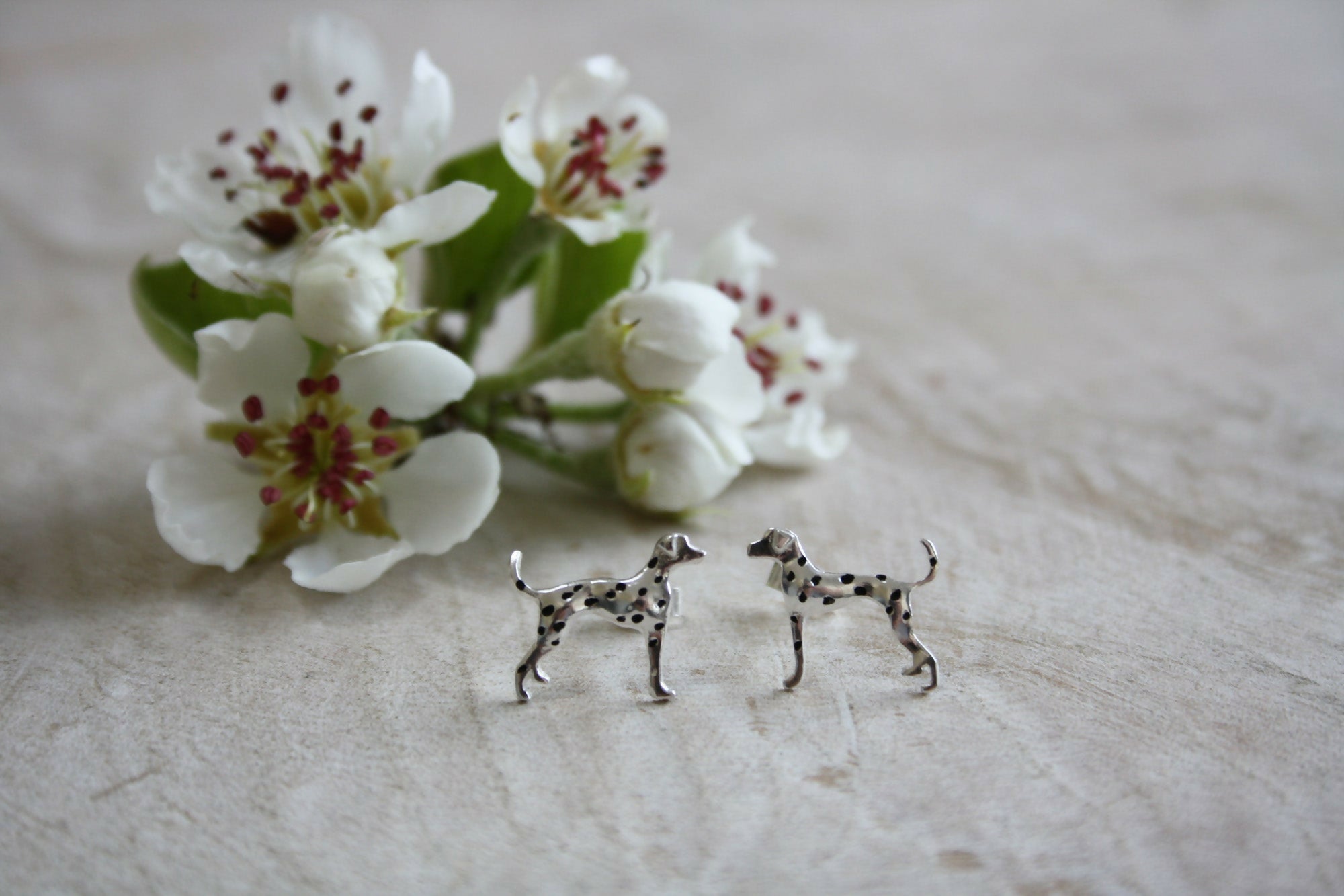 Dalmatian Studs