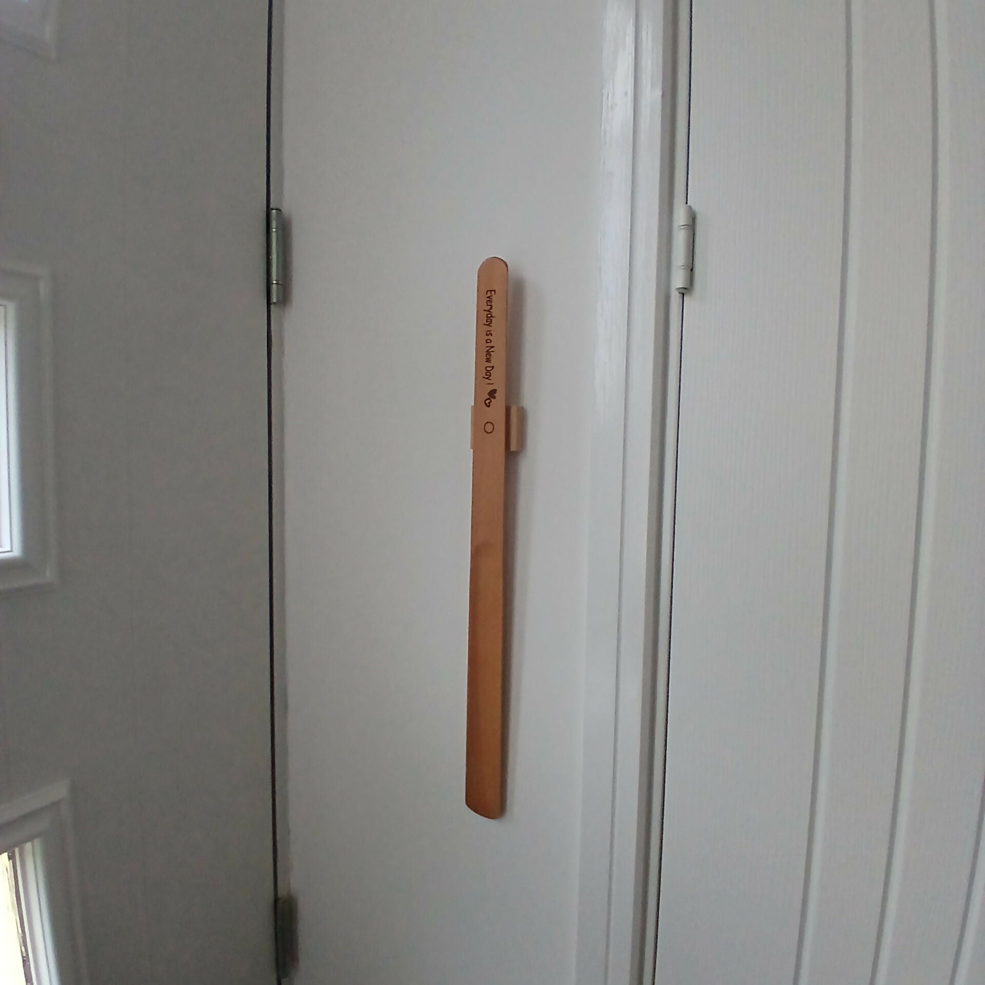 Everyday is a New Day Shoehorn