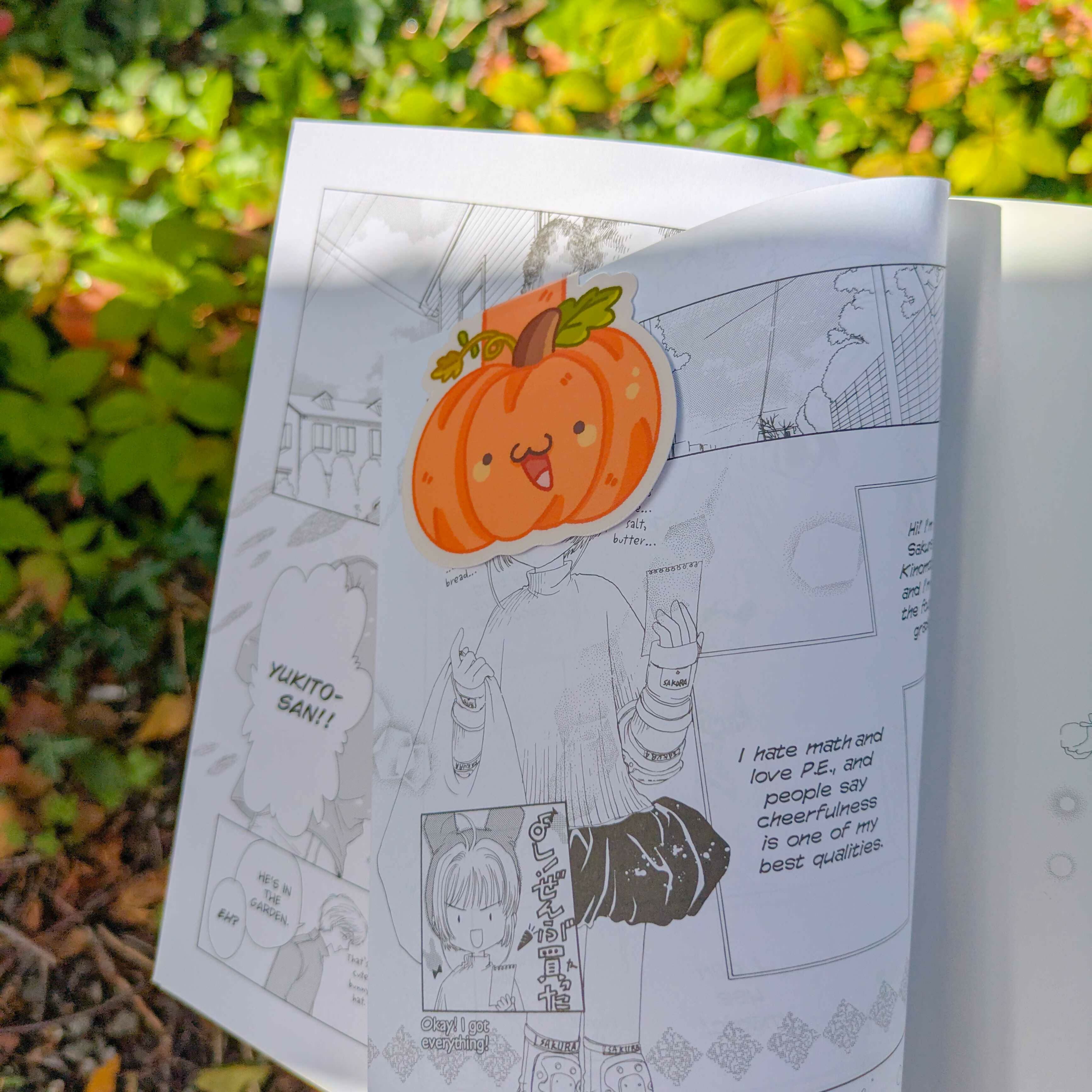 Hey Pumpkin - Magnetic Bookmark