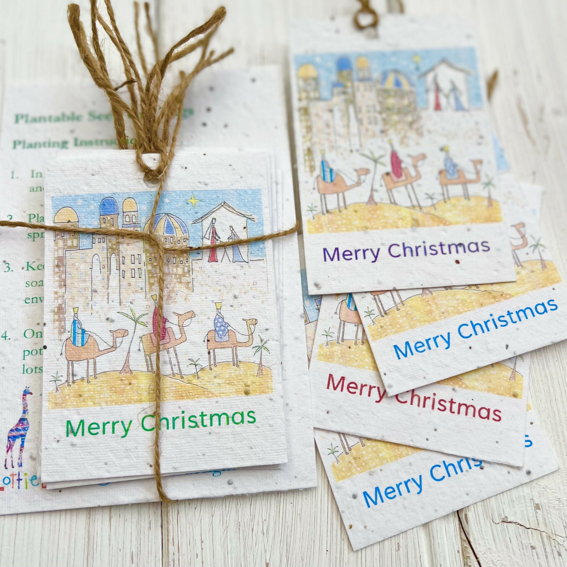 Set of ^ Christmas Seed Gift Tags - 'Following the Star'