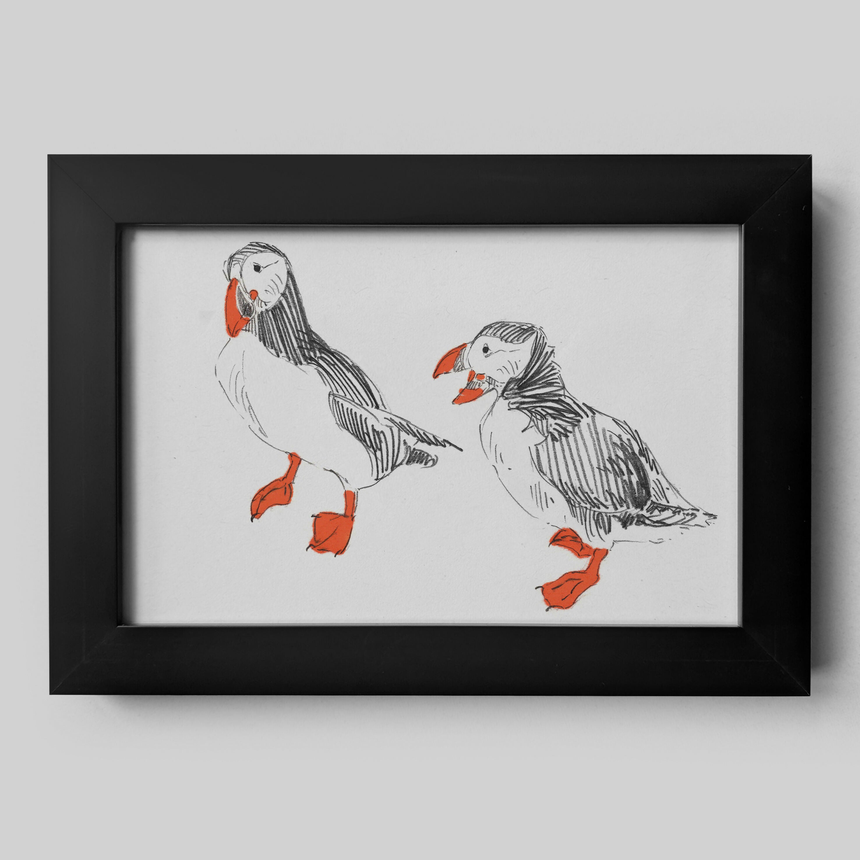 Puffin Pair Sketch - A6 Print