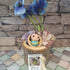 Dorrie