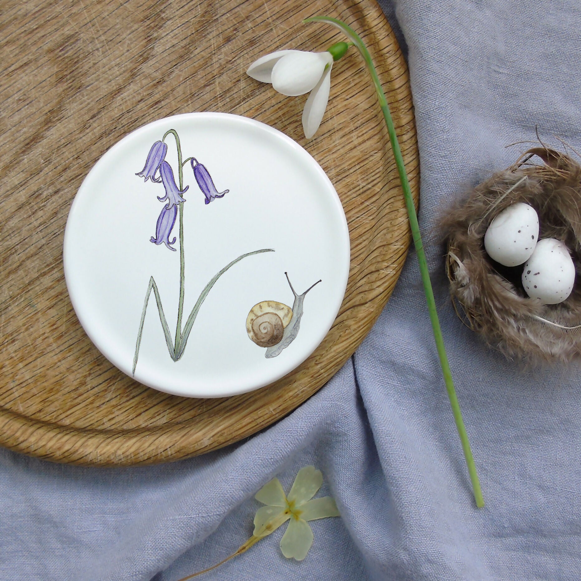 Bluebell and Garden Snail Coaster