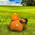 Cool Capybara & Orange Figure