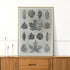 Deciduous Leaves of Britain Illustration, A3 Print