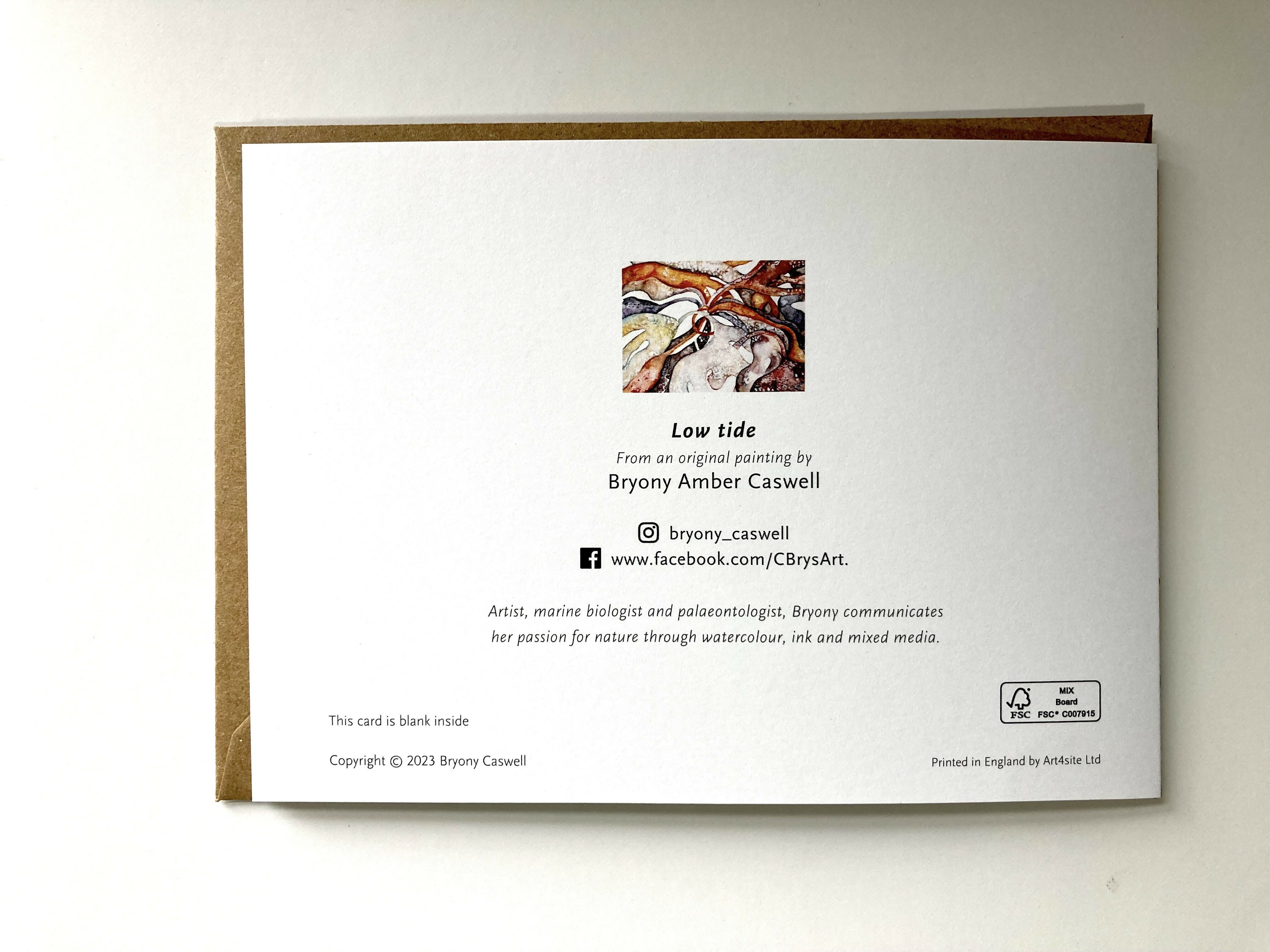 Low tide card back