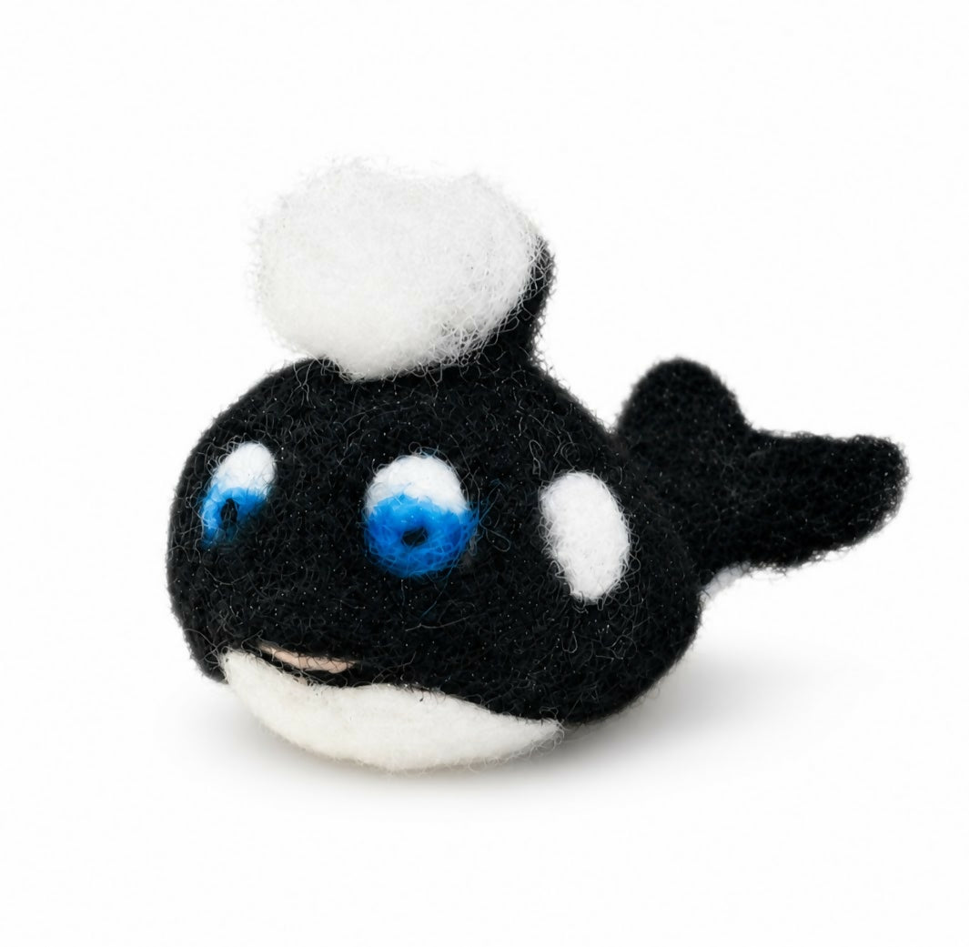 Finn the Killer Whale