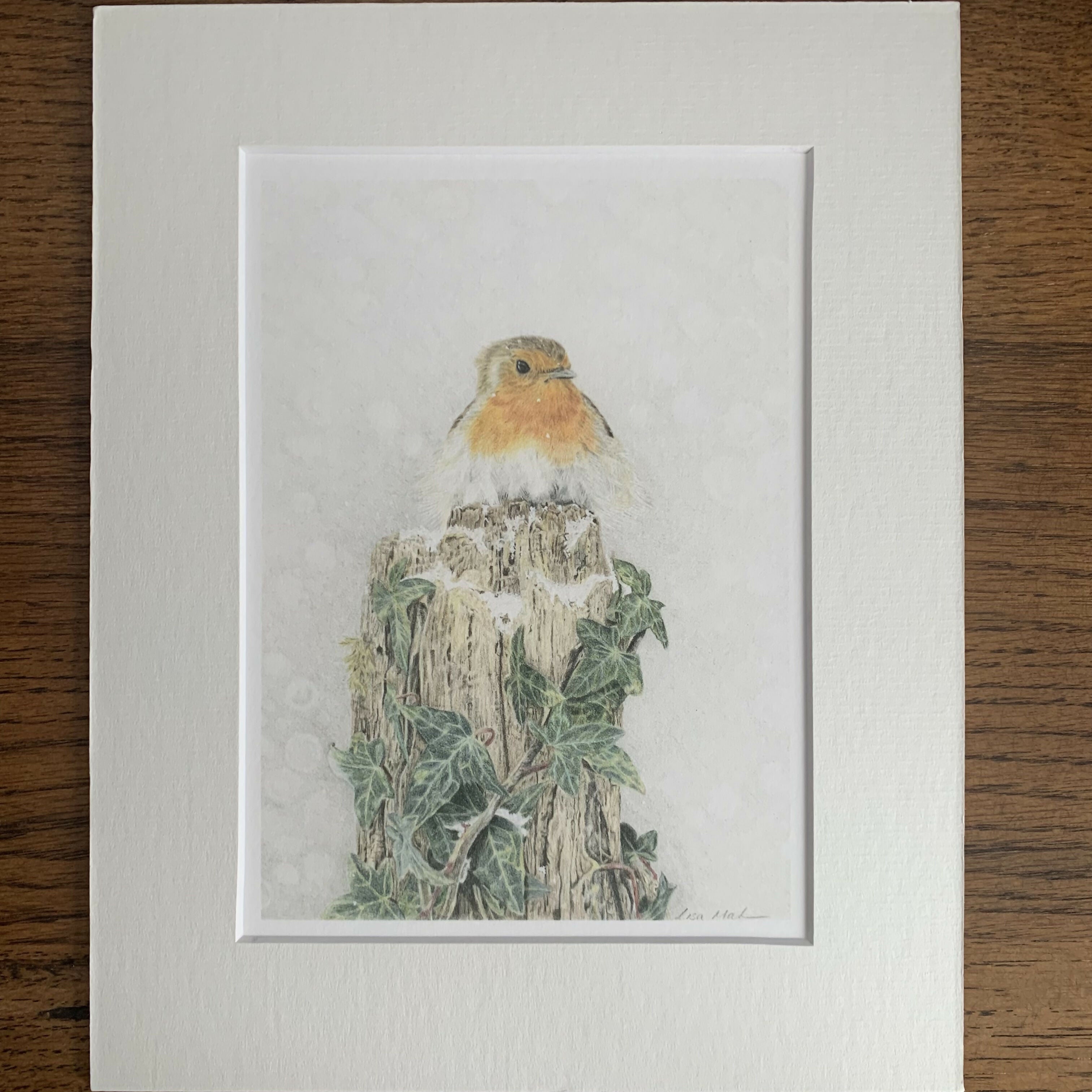 Fine Art Giclée Print of Robin on a Tree Stump.