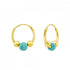 Turquoise Gold mh