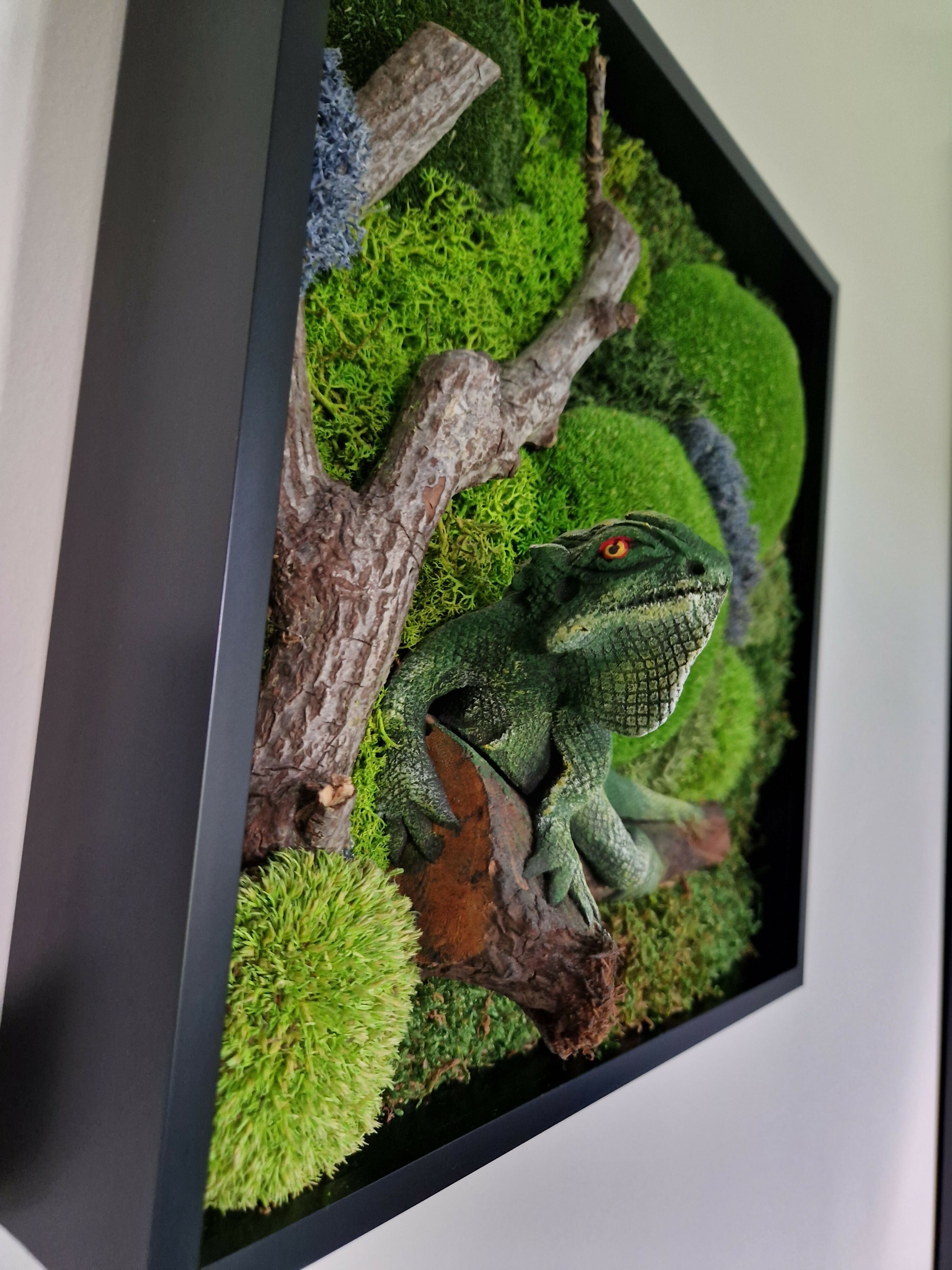 Lizard
