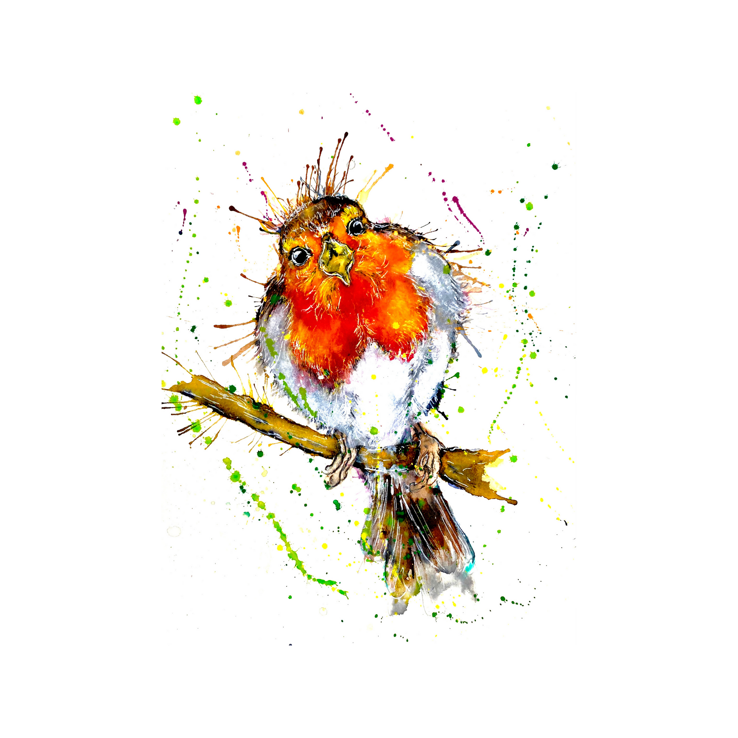 FINE ART PRINT OF OLIVER THE ROBIN, PART OF THE 'ANIMAL ART COLLECTION'