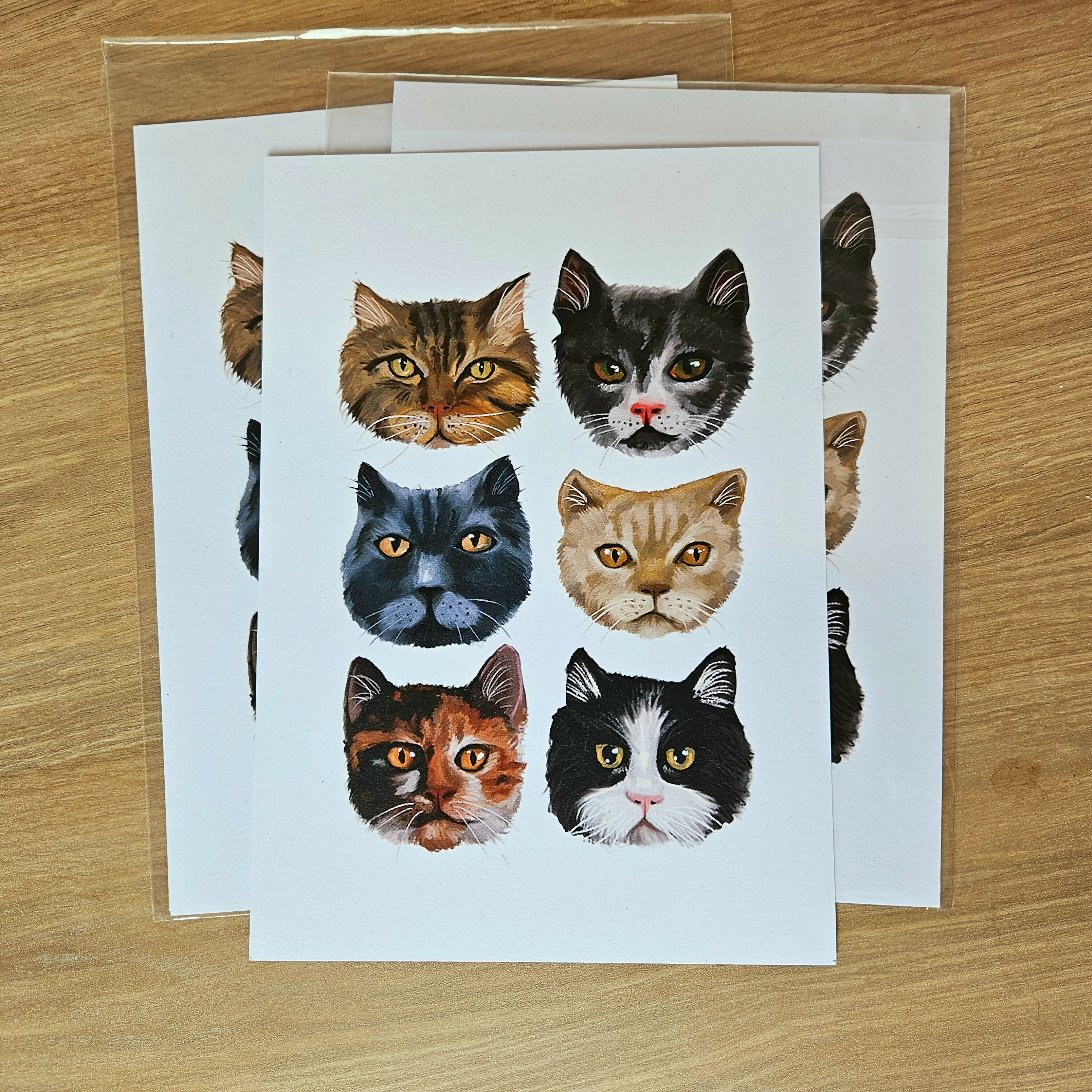 Six Cats Art Print: Tabby, Tortie, Tuxedo Cat Faces