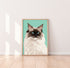 Ragdoll Cat White V3 Cat Art Print