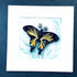 Handmade Paper Quilling Butterfly with White Framed