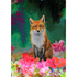Big and Glossy Follow the Fox A5 Greeting Card