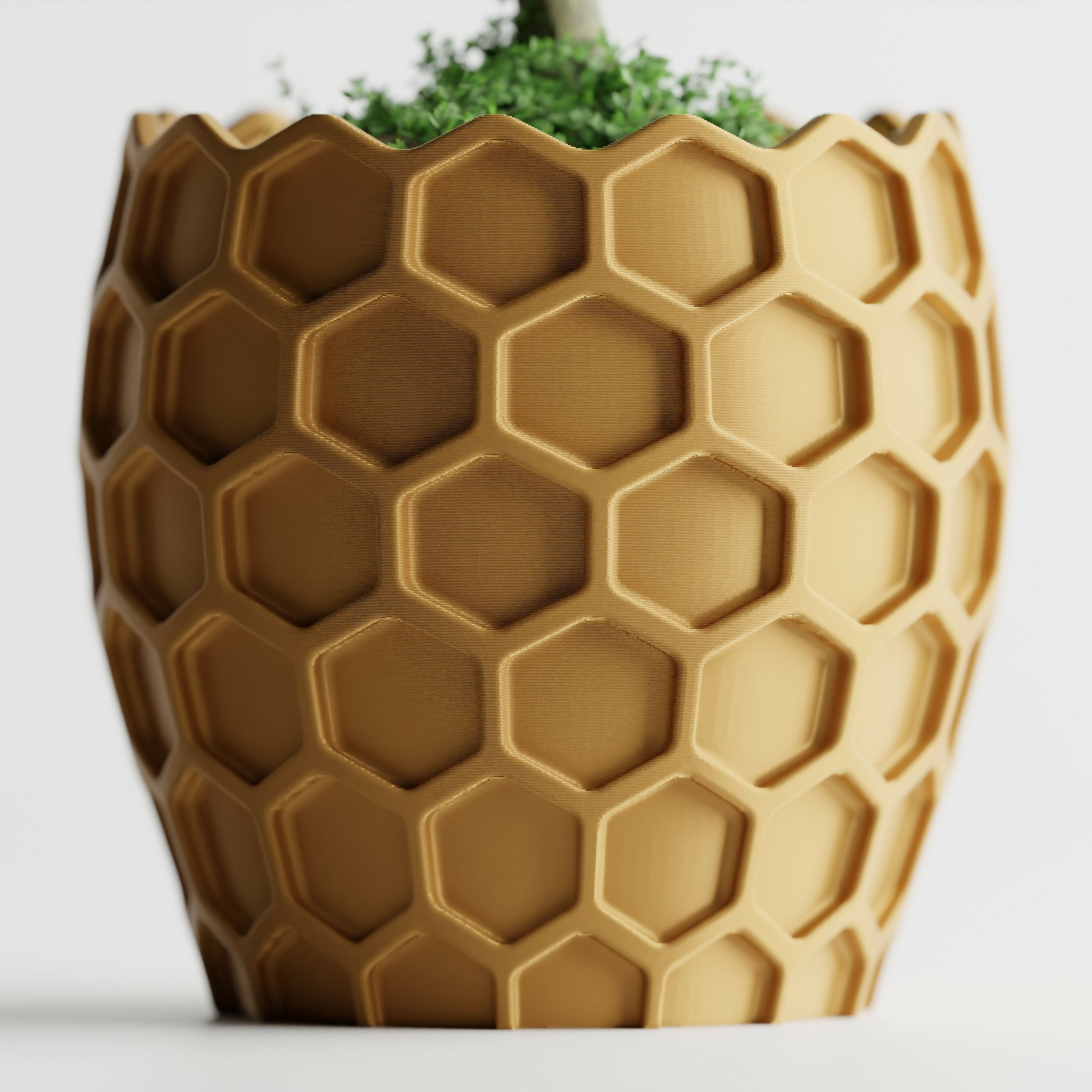 Beehavia Planter