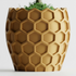 Beehavia Planter