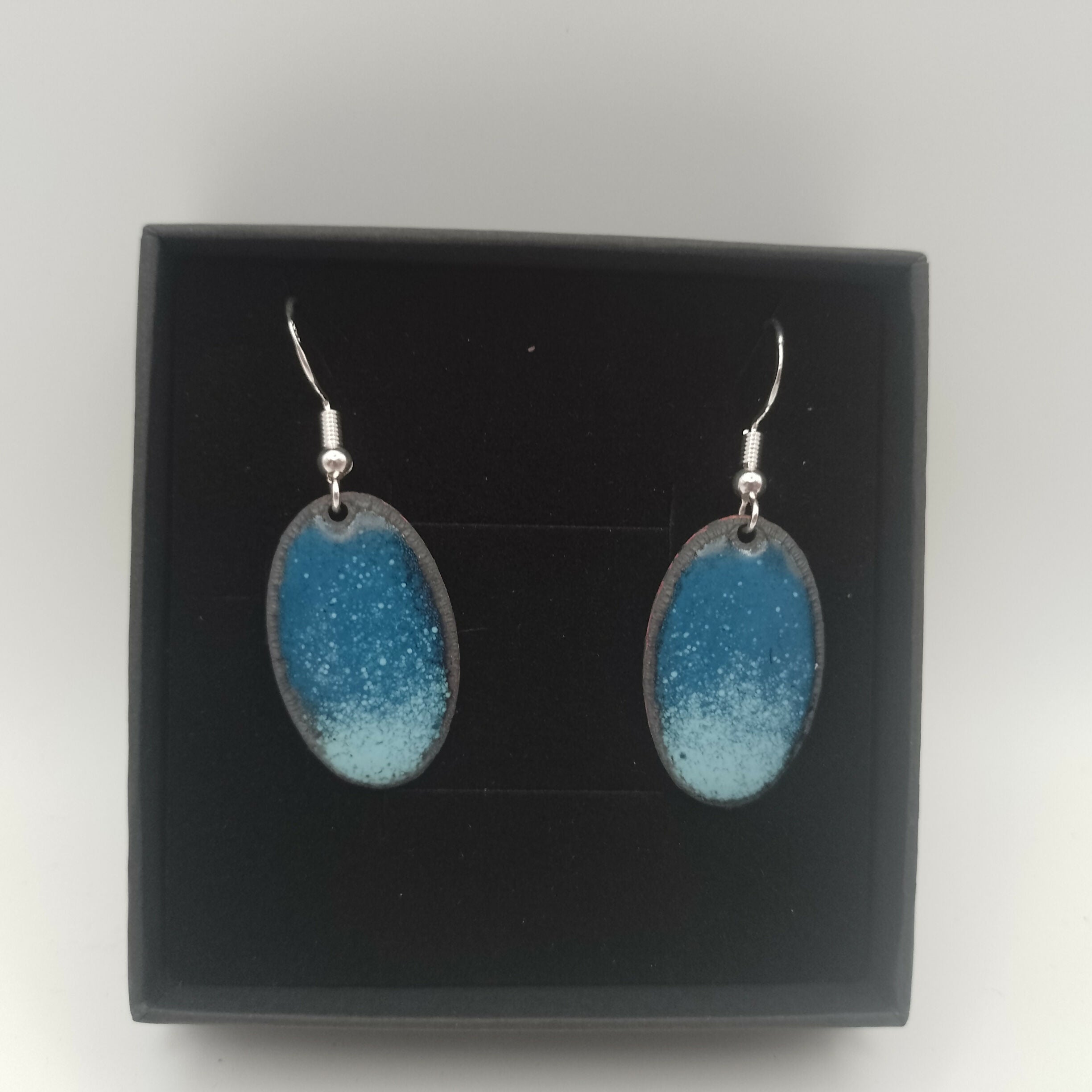 Dark and Powder Blue Oval Enamel Earrings