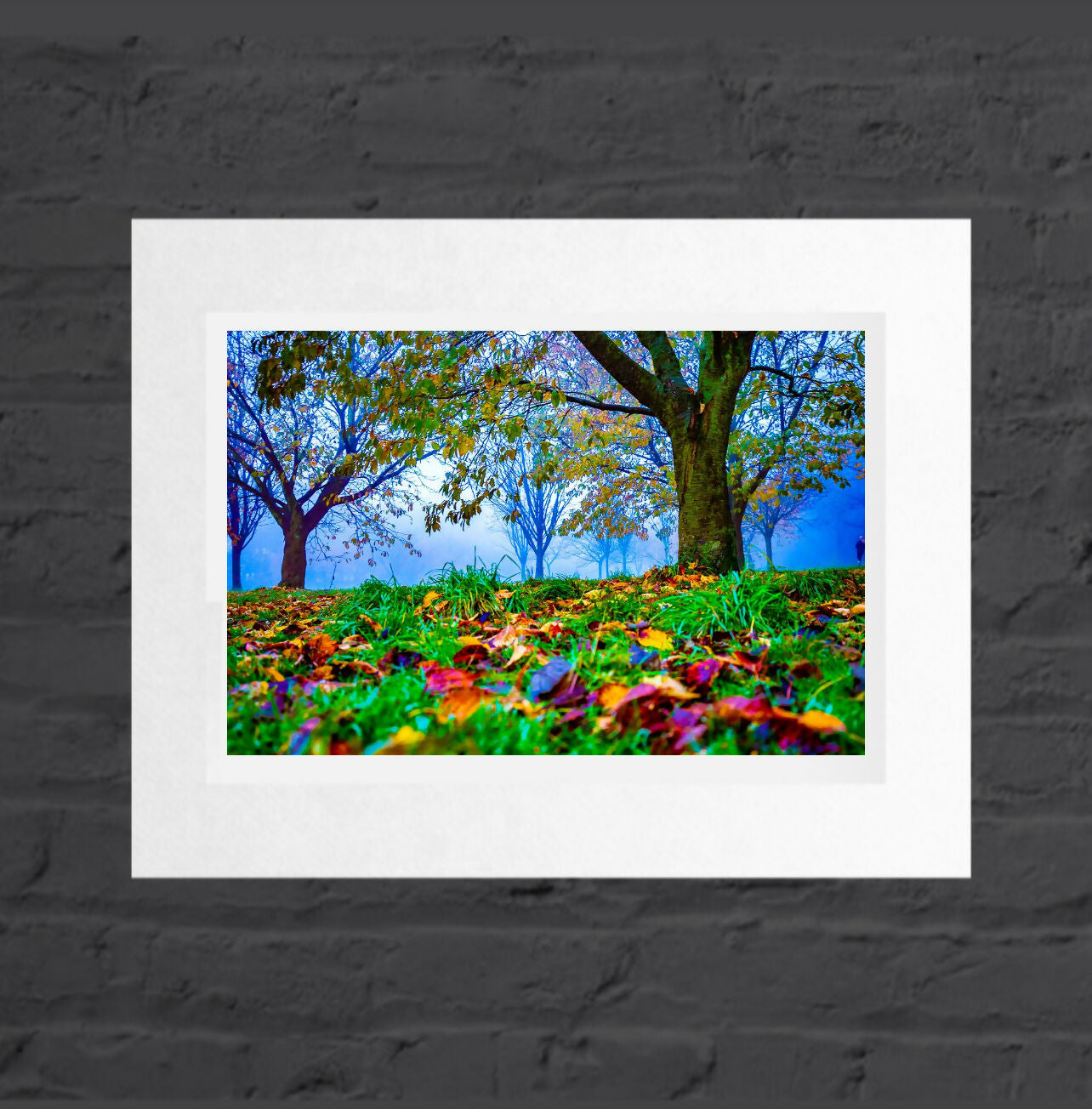 Autumn Leaves, Golden Acre Park, Mounted Photographic Print