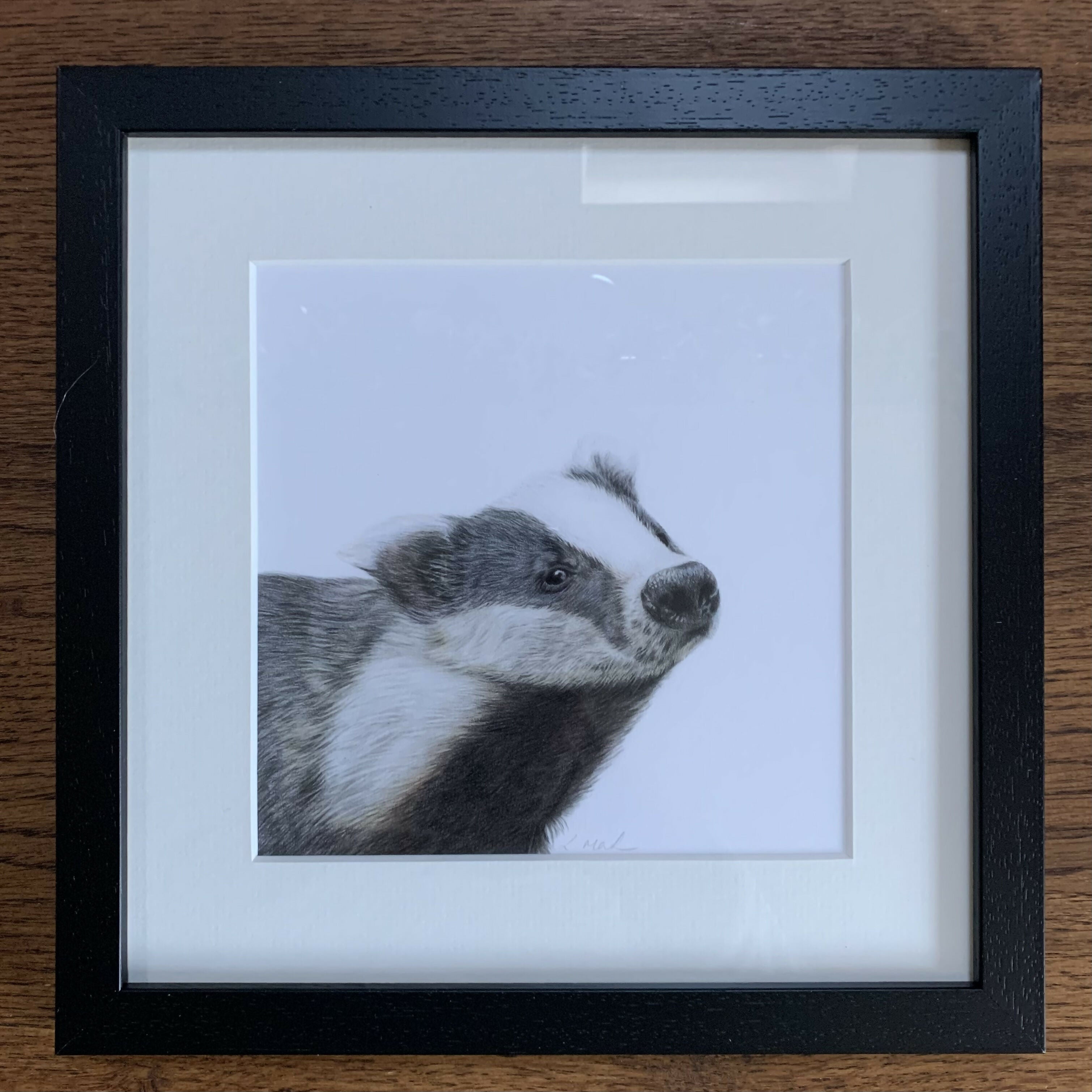 Fine Art Square Giclée Print of Badger