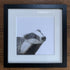 Fine Art Square Giclée Print of Badger