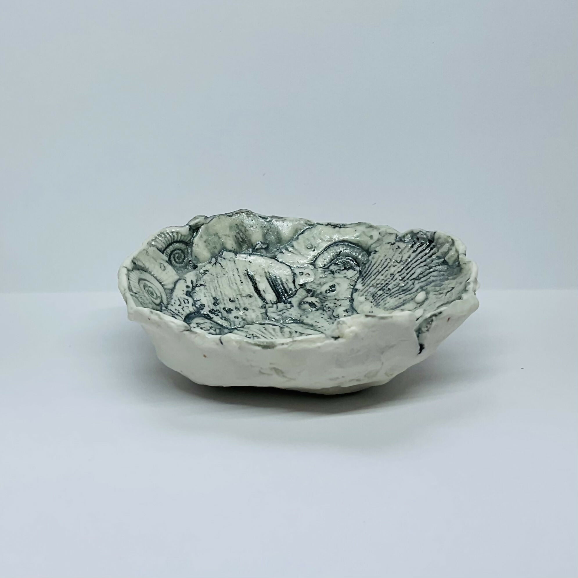 Fossil Dish