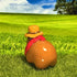 Cowboy Capybara Figure