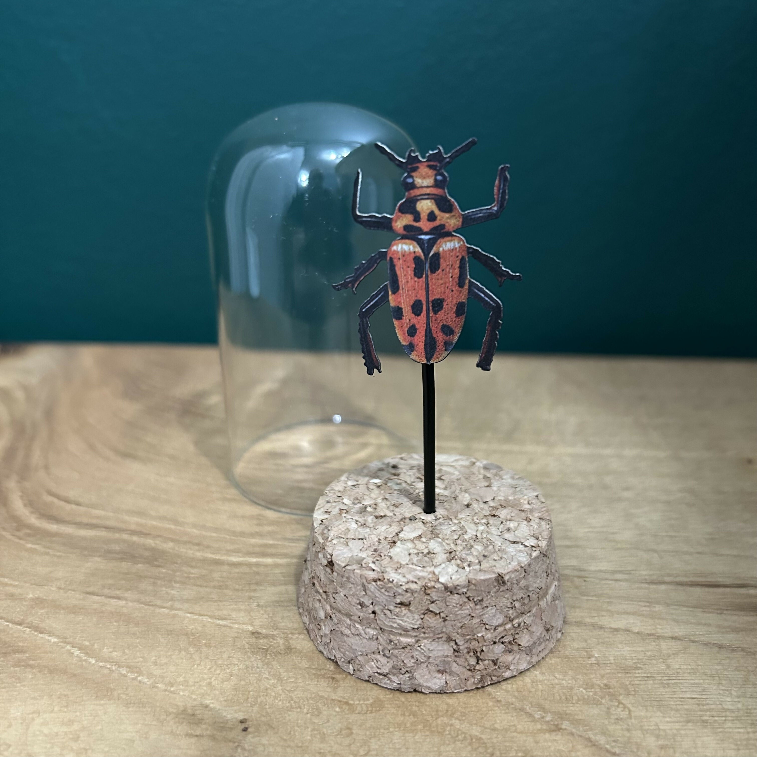 Antique Inspired Beetle In A Dome