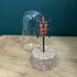 Antique Inspired Beetle In A Dome