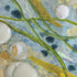 Rockpool Framed Picture