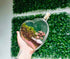 Large Heart Terrarium